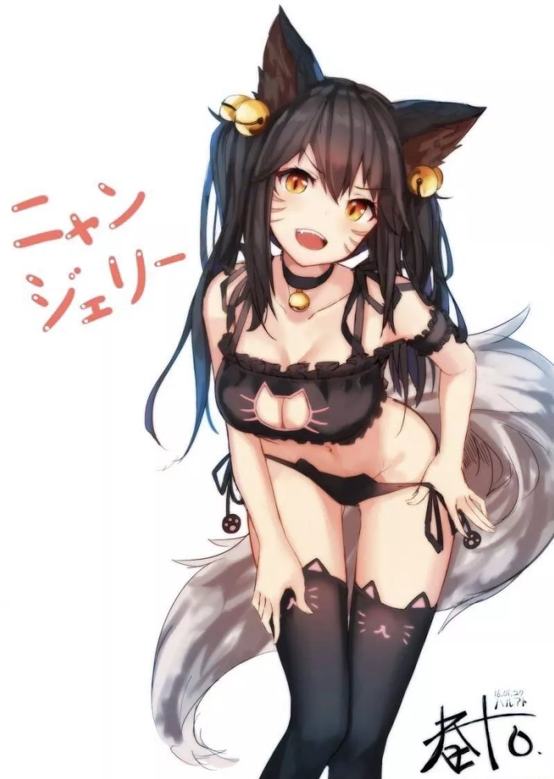 sassy kitty sassy kitty