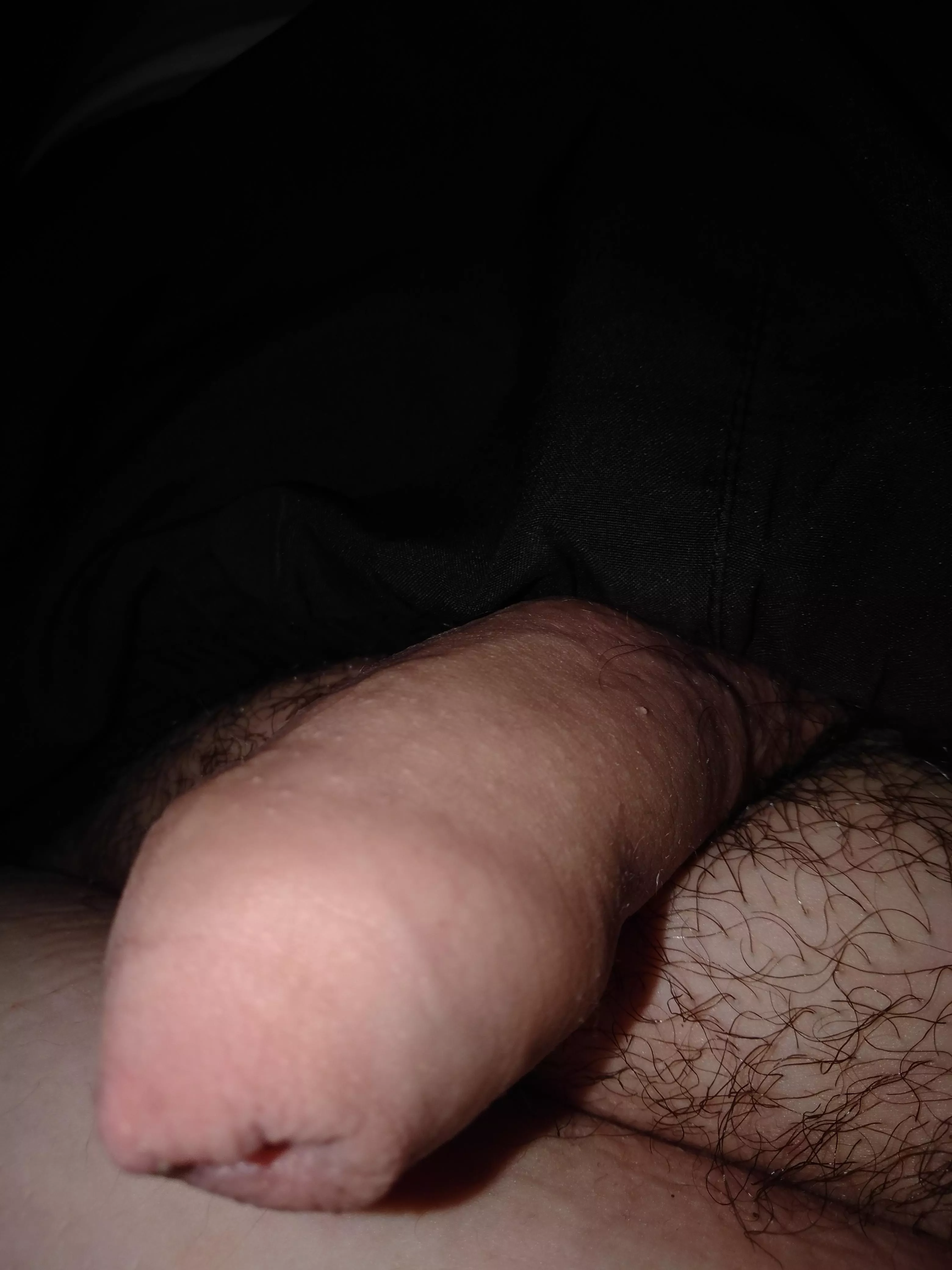 Say hello to my little friend Say hello to my little friend