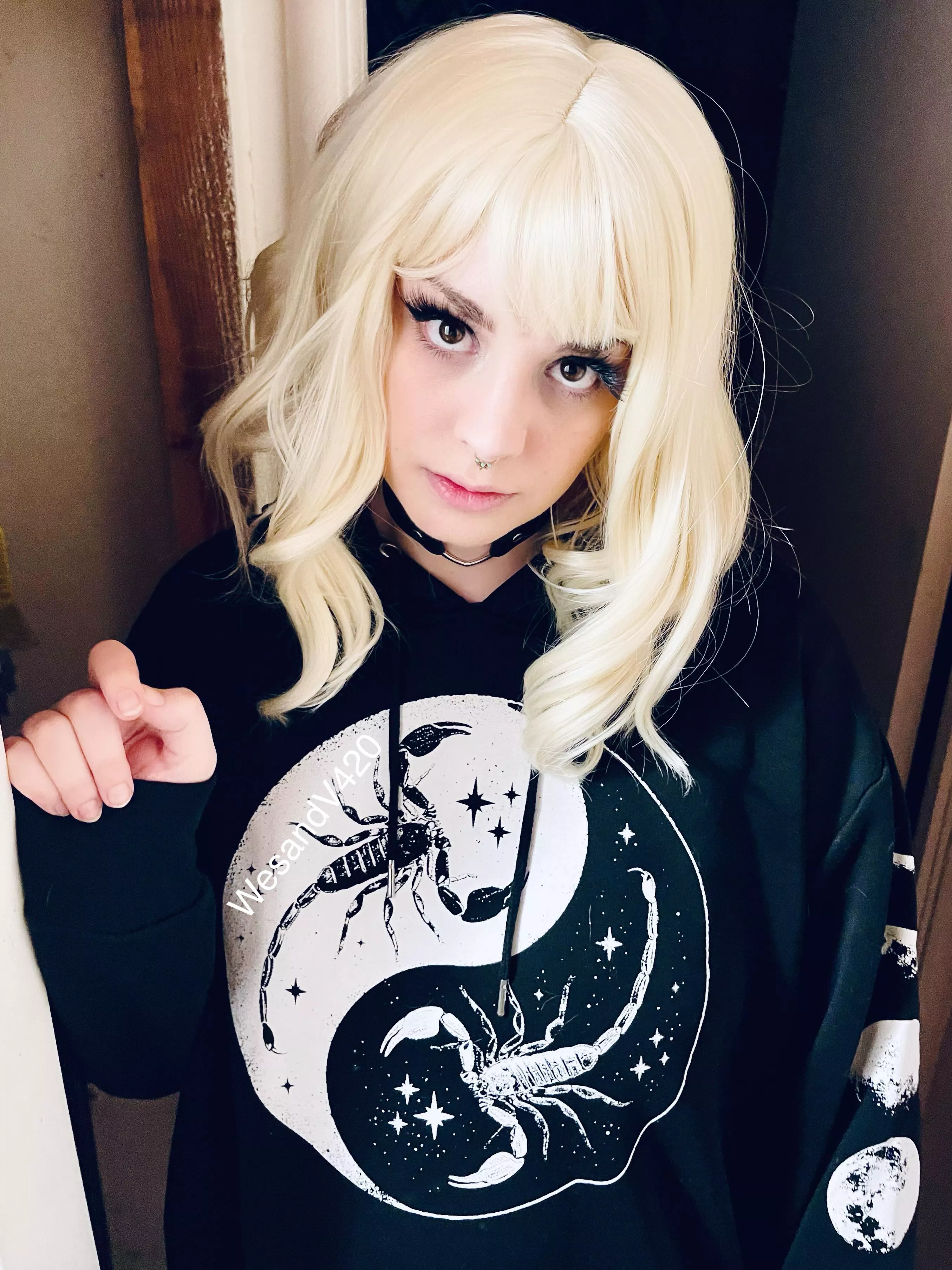 Say hi if you’d breed me. Be honest!