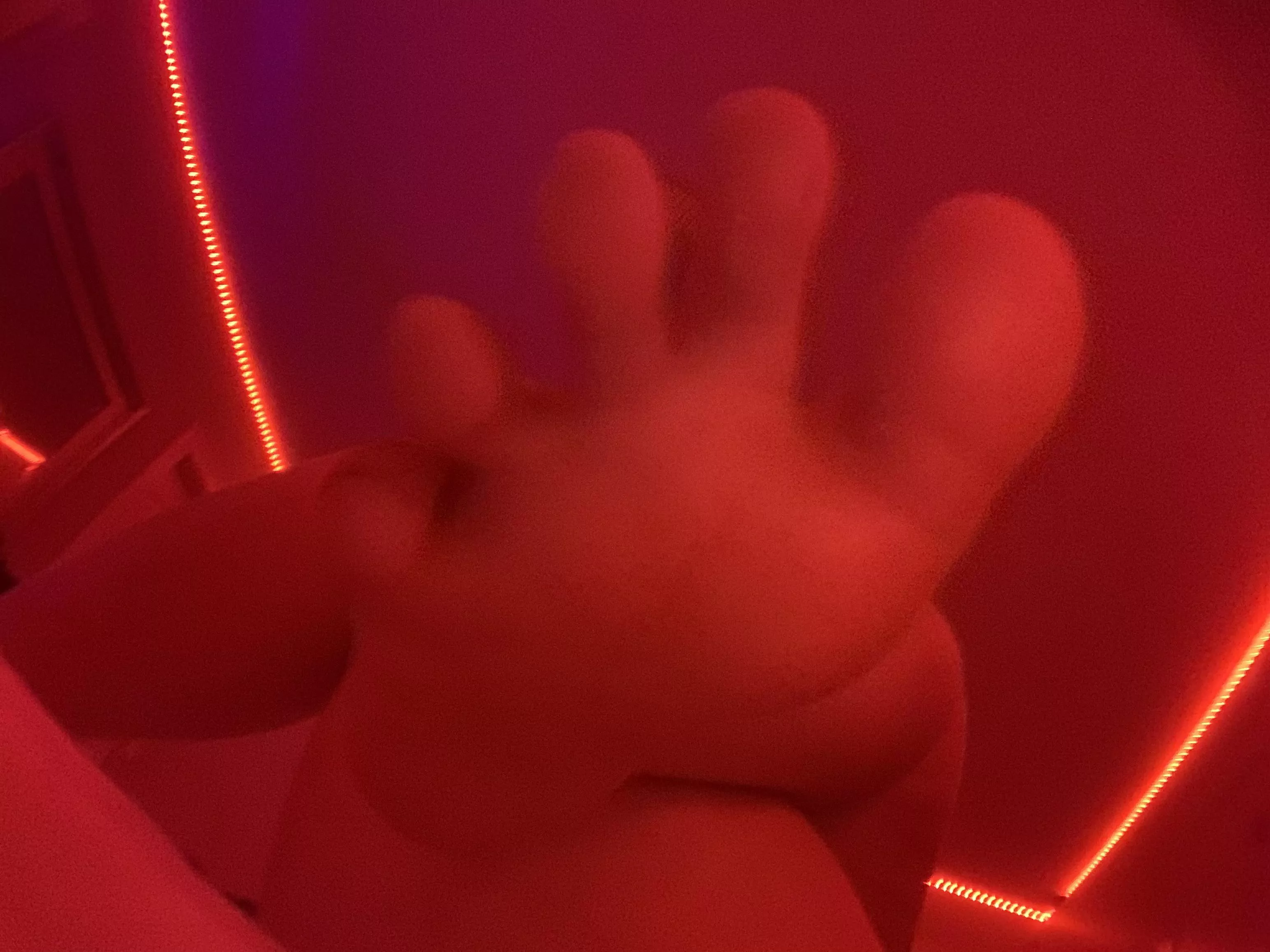 Saying hello. Saying hello.