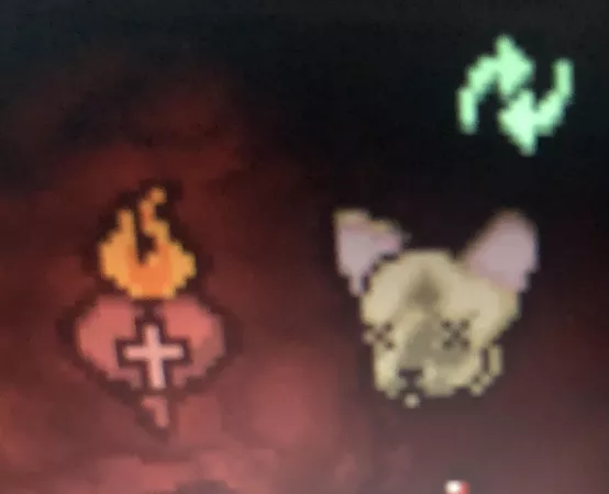 Screw porn, this is enough to make you nut