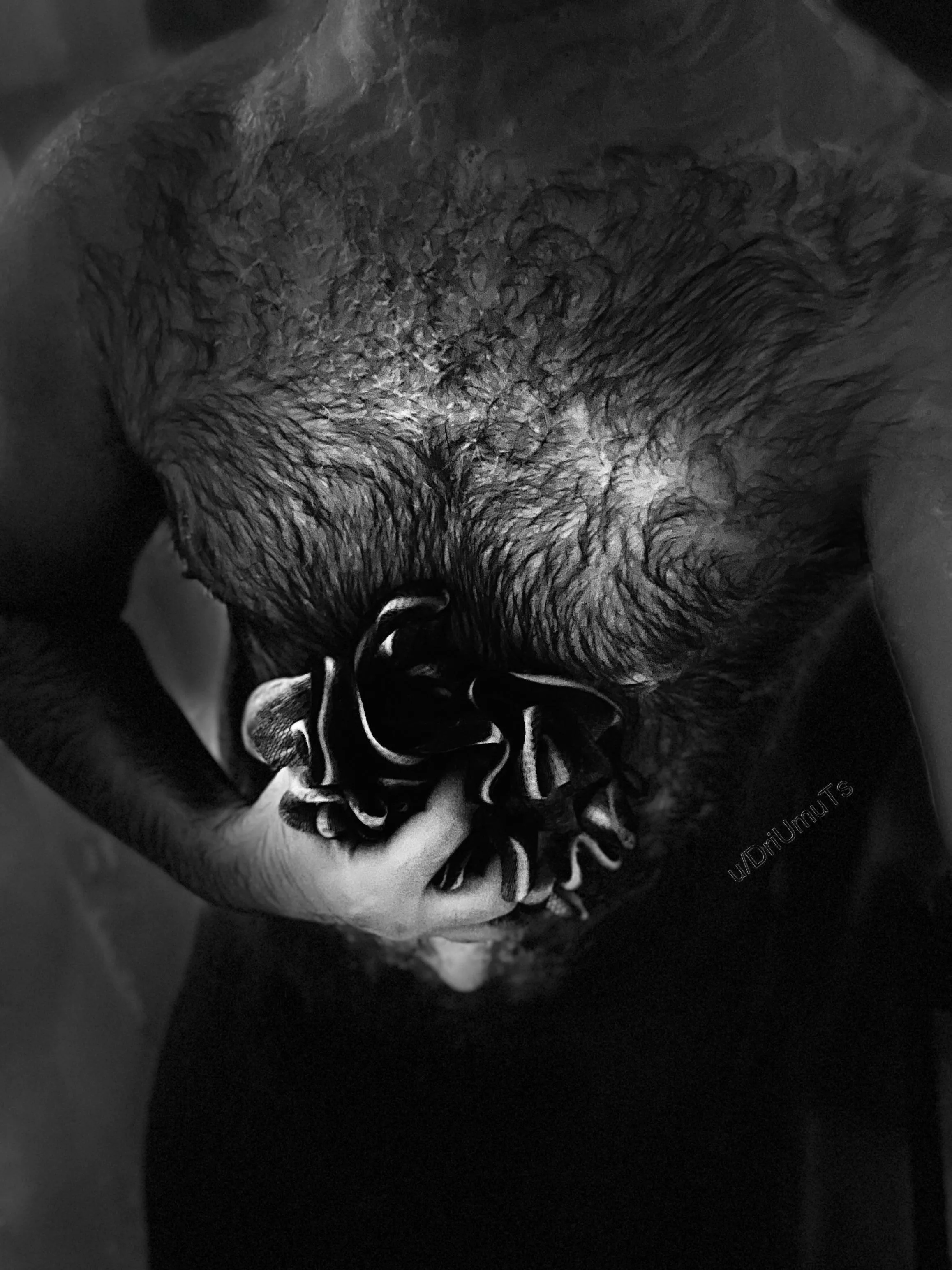 Scrub-a-dub-dub, furry man in the tub 🛁 [OC]