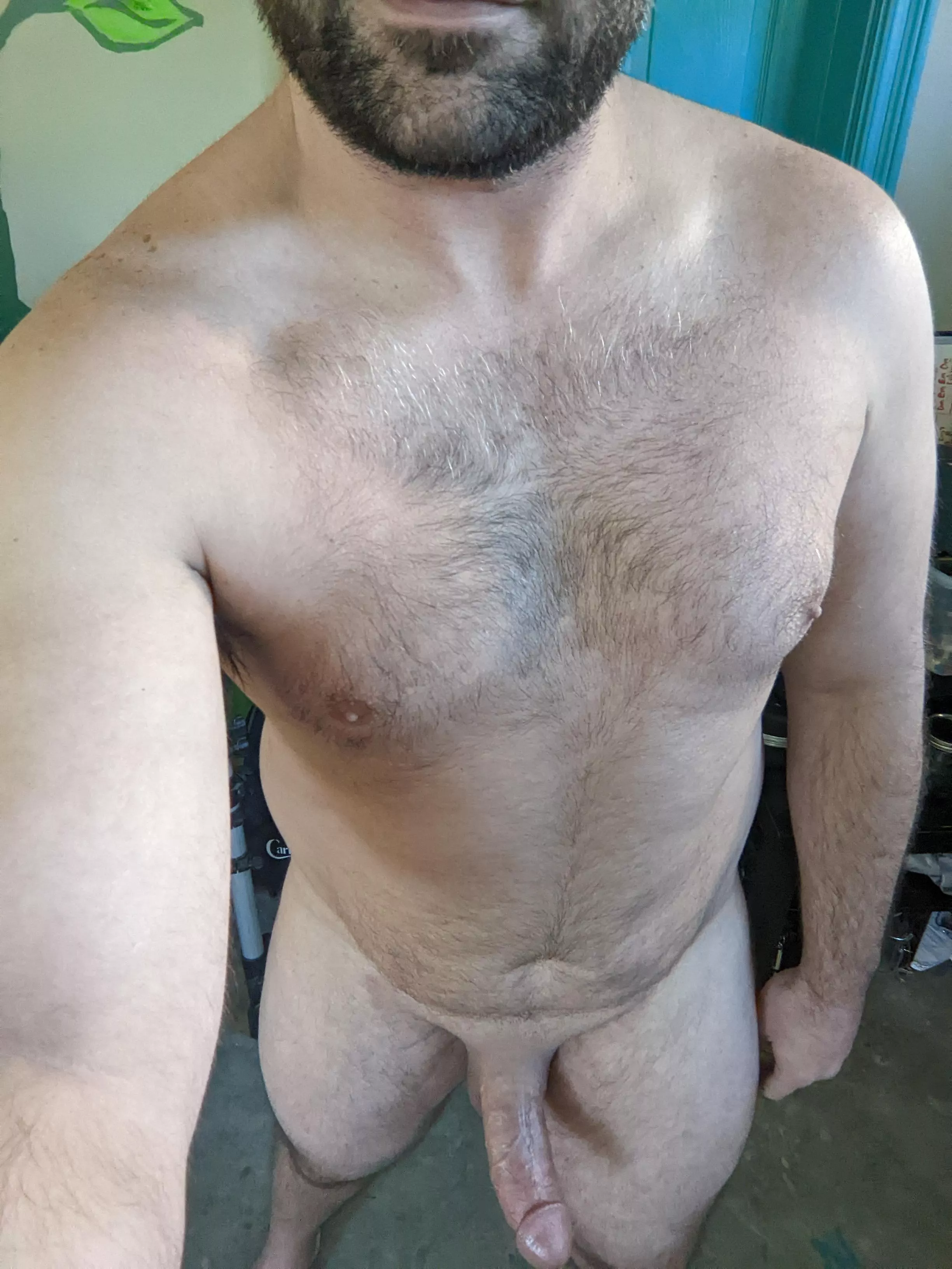 Scruffy chest, thick cock, let's play? Scruffy chest, thick cock, let's play?