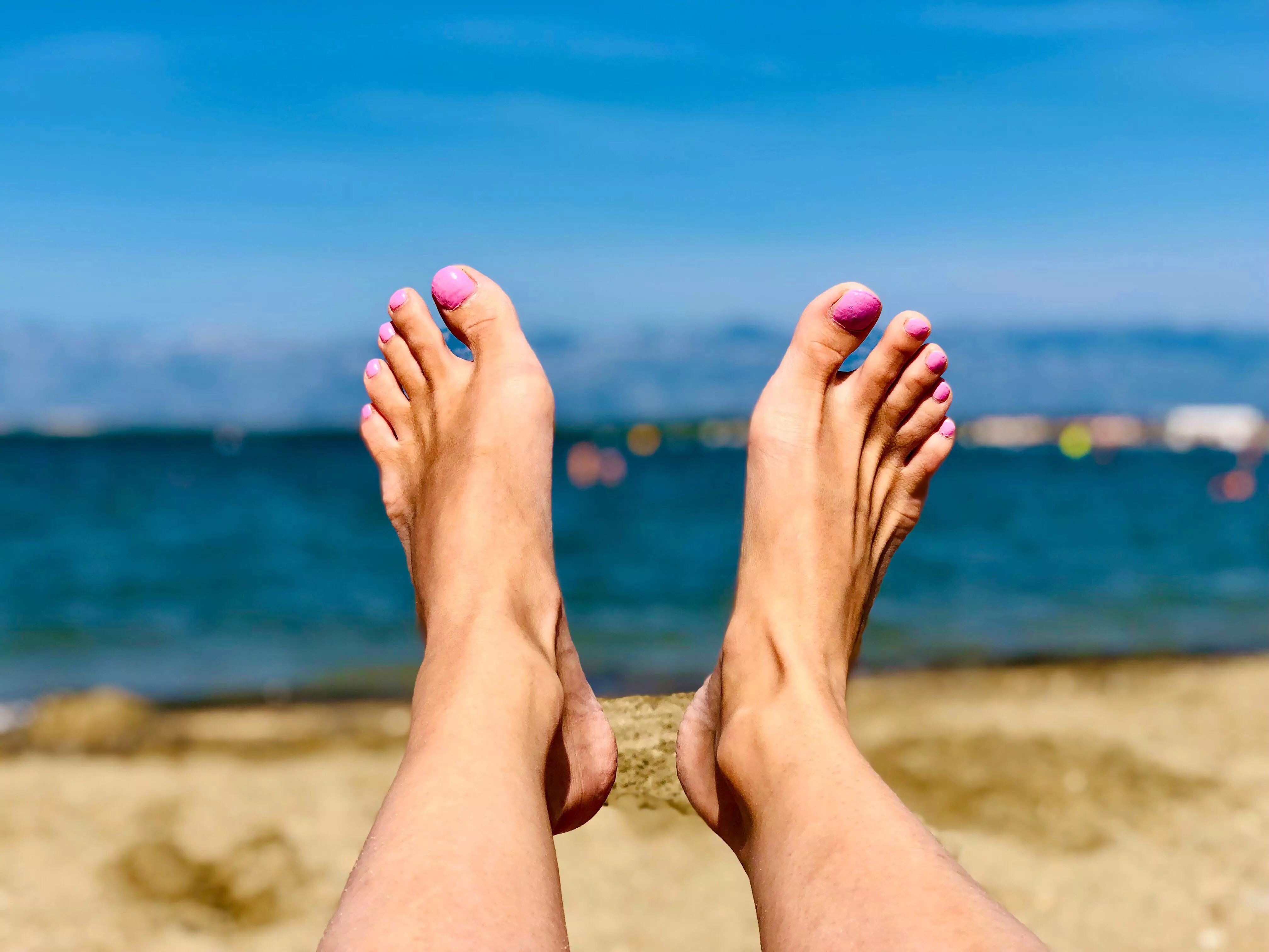 Sea lover Sea lover