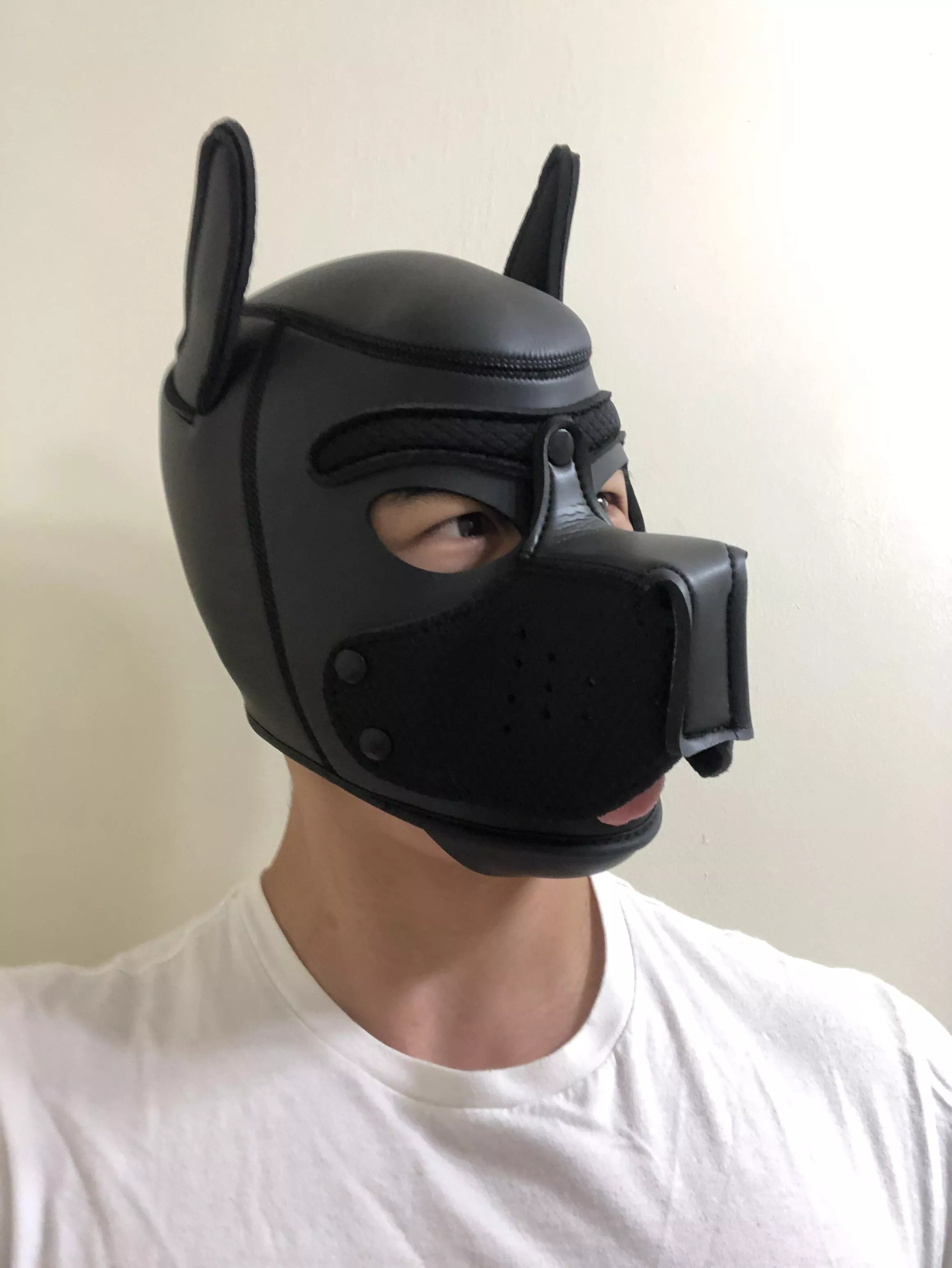 Self portrait of Ace! ♠️