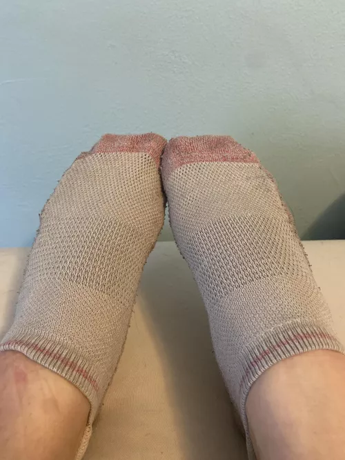 [selling] 8 year old socks 💕 wearing all day 💕 $20 💕 DM for deets