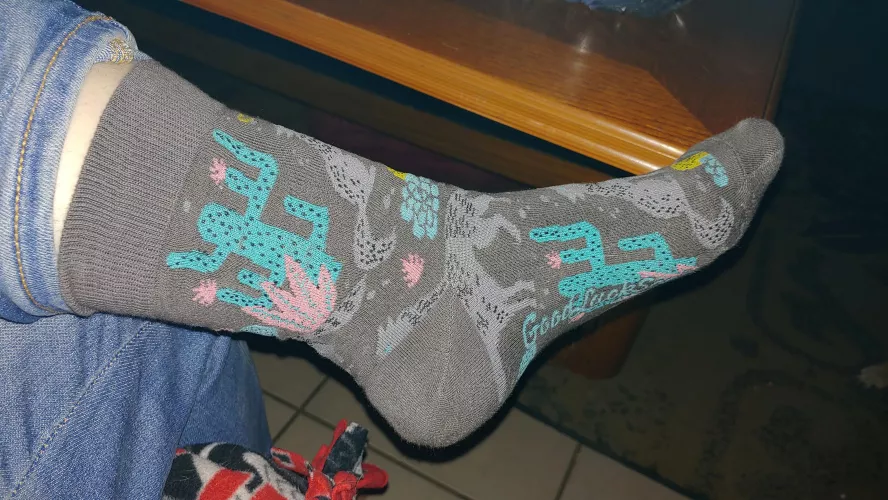 [SELLING] Sweaty post-hike socks, drying now and available tomorrow morning.