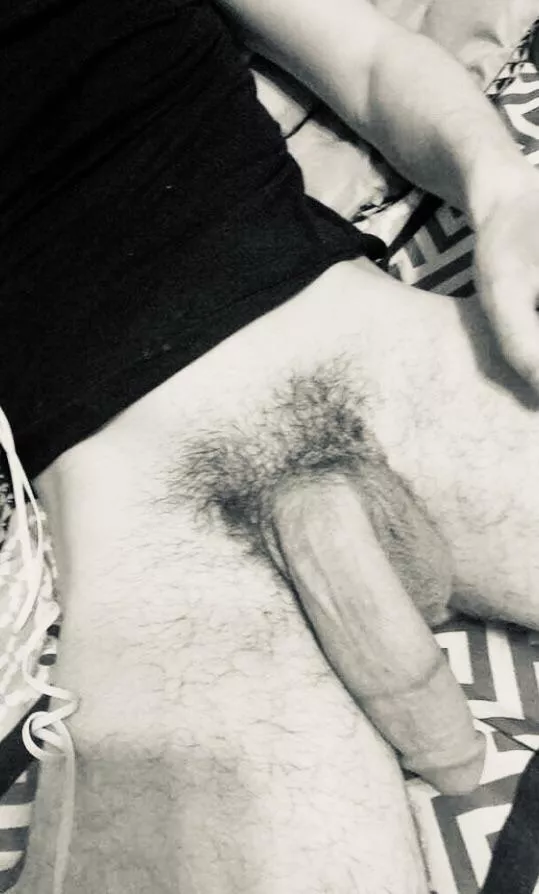 Semi Semi
