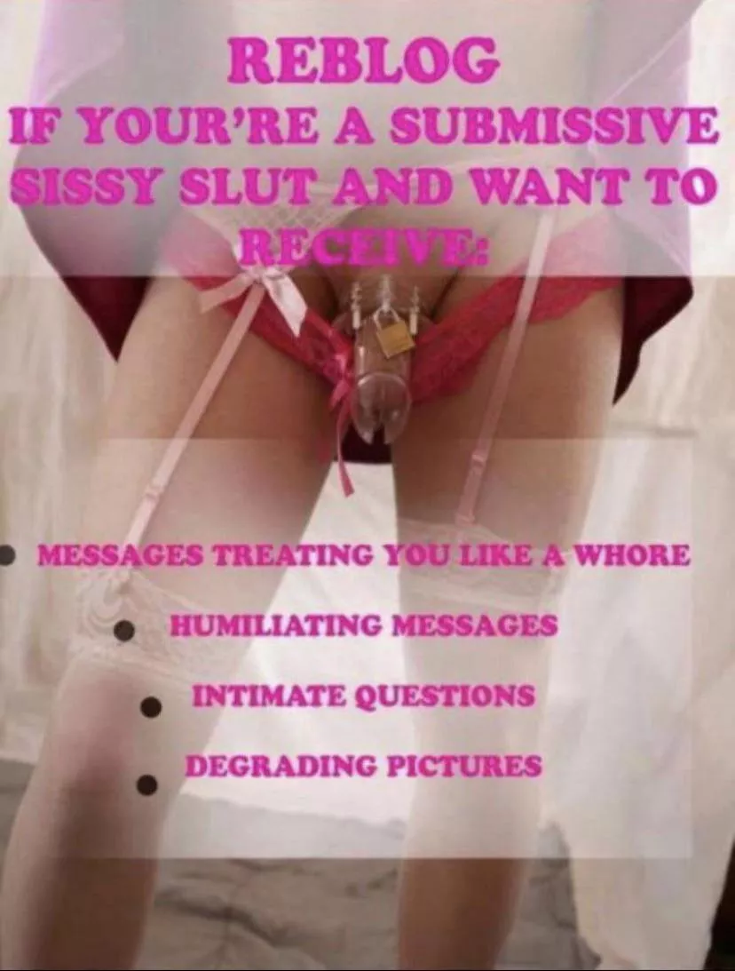 Send this little slut anything Send this little slut anything