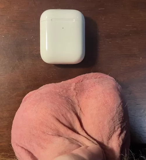 Serious question, would you consider these big? I’ve always felt like my balls were small, but I’m not sure if I just have a skewed perception. AirPods for scale. Sorry that the pic is not the best; I’m just trying to get some quick feedback. Serious question, would you consider these big? I’ve always felt like my balls were small, but I’m not sure if I just have a skewed perception. AirPods for scale. Sorry that the pic is not the best; I’m just trying to get some quick feedback.