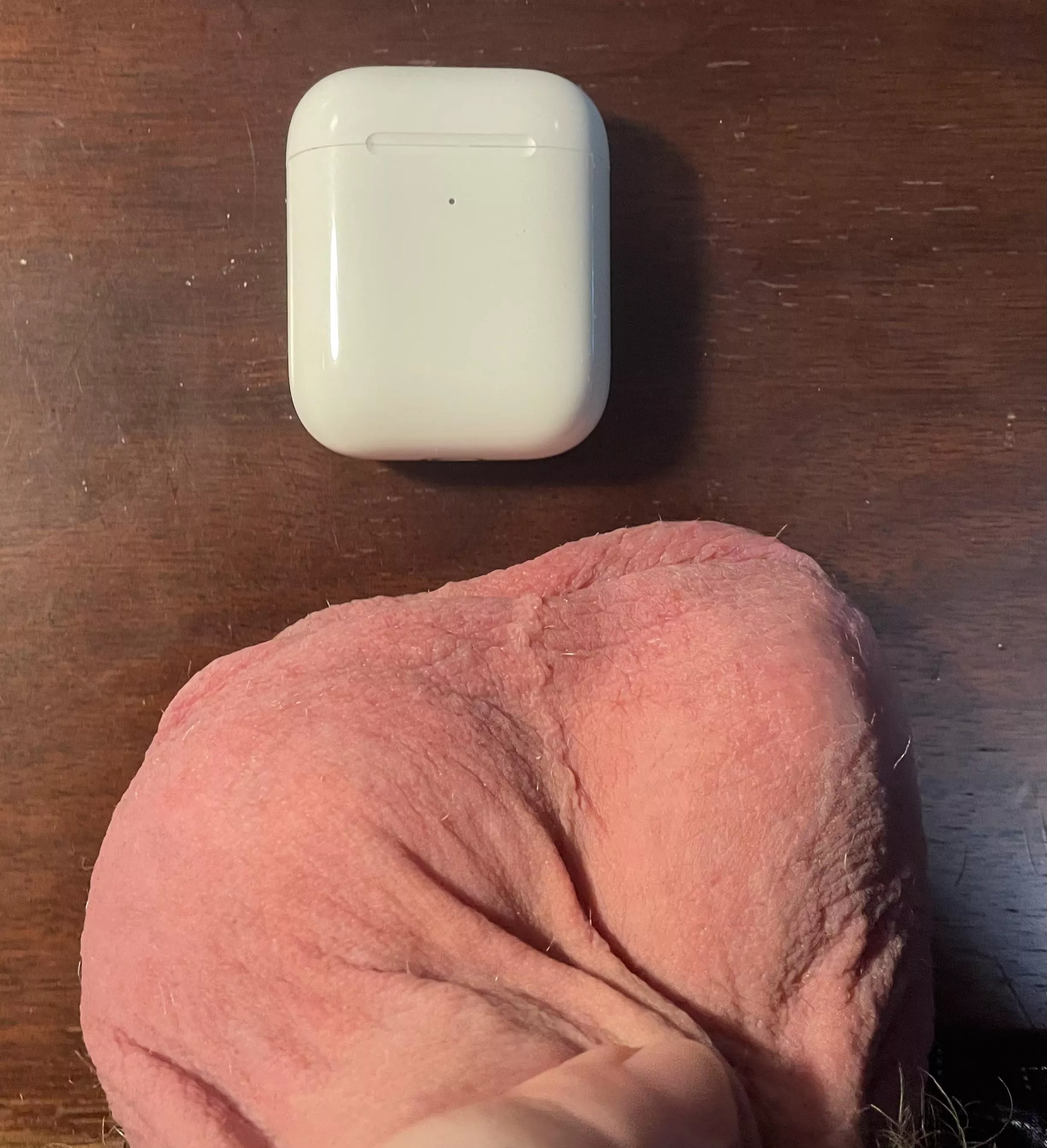 Serious question, would you consider these big? I’ve always felt like my balls were small, but I’m not sure if I just have a skewed perception. AirPods for scale. Sorry that the pic is not the best; I’m just trying to get some quick feedback.