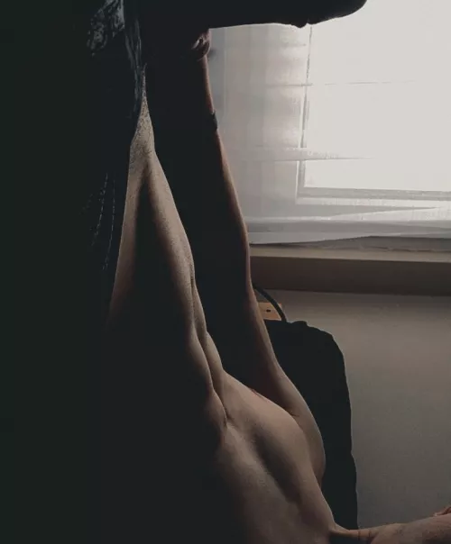 shadows