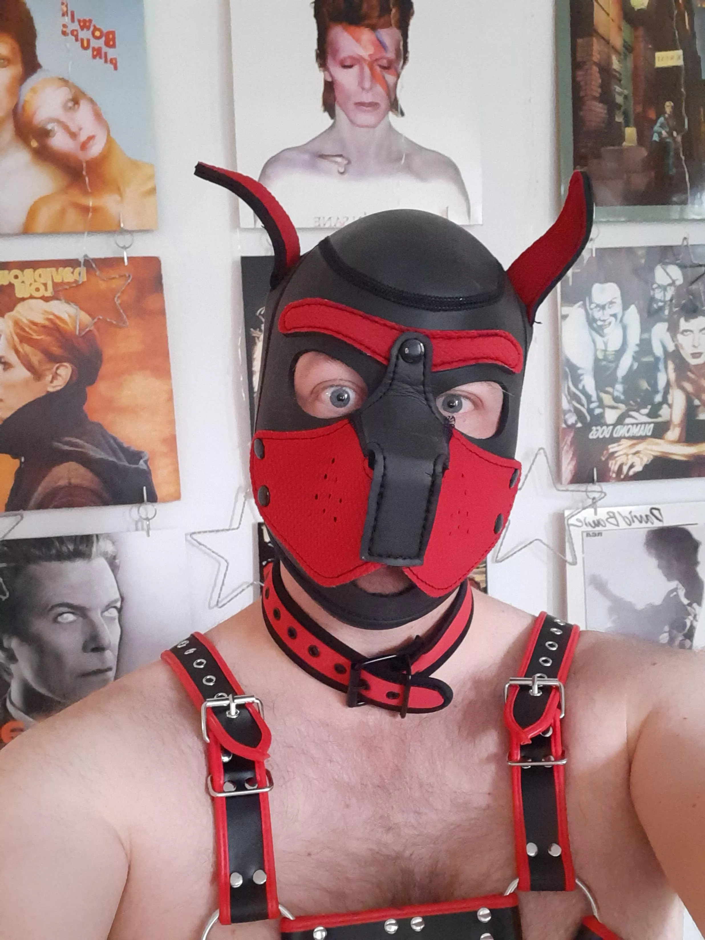 🎶 Shake it, shake it, baby 🎶