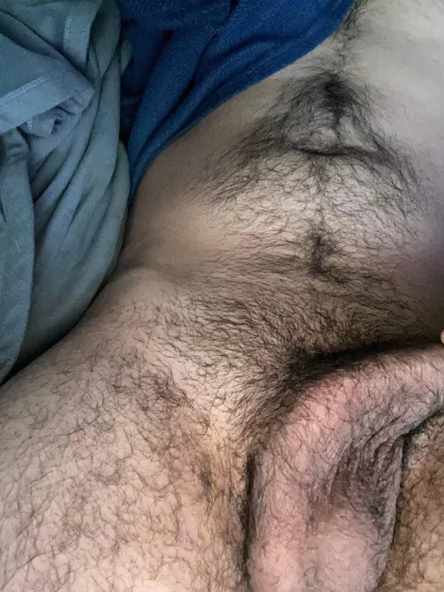 Shave or let it grow?