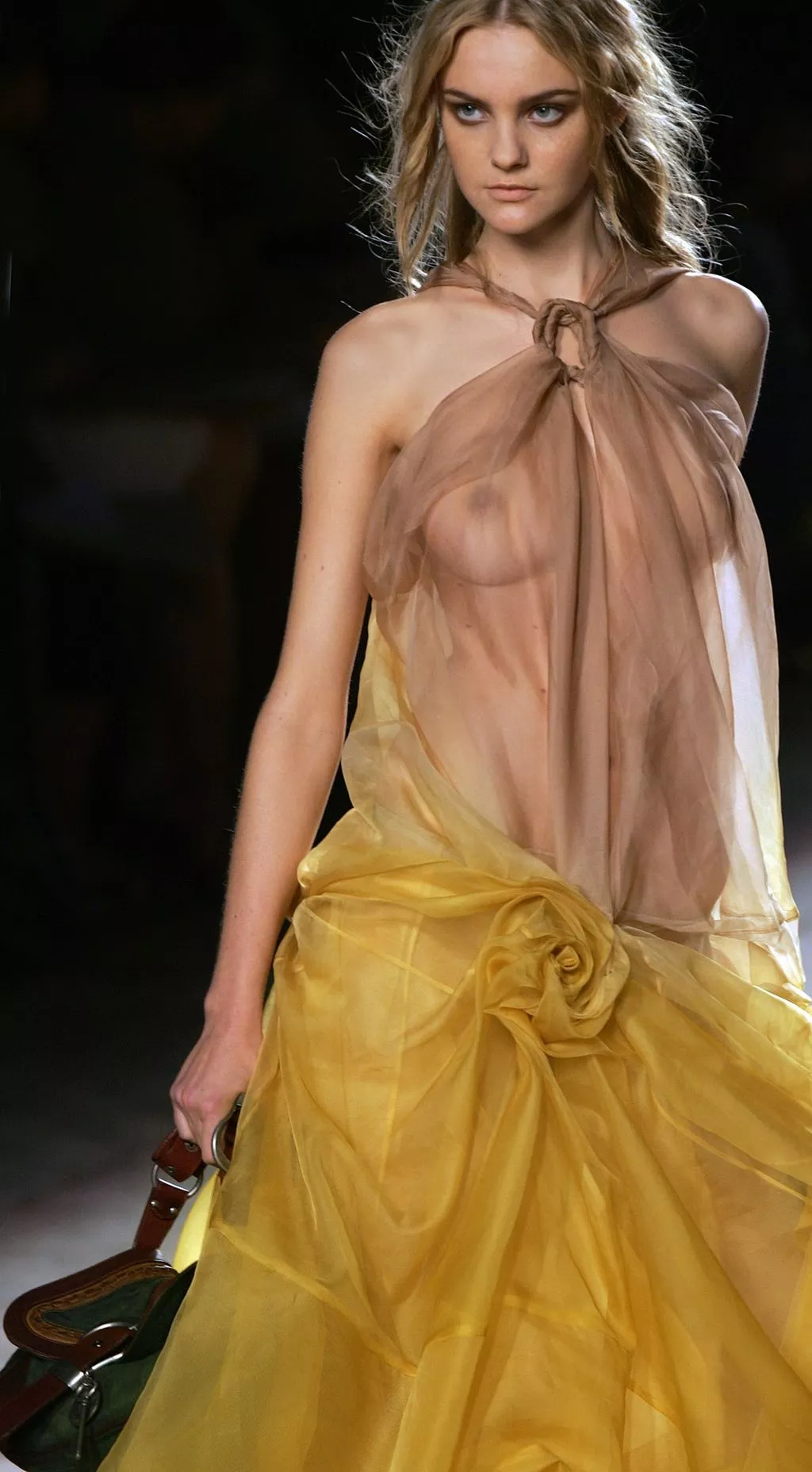 Sheer dress Sheer dress