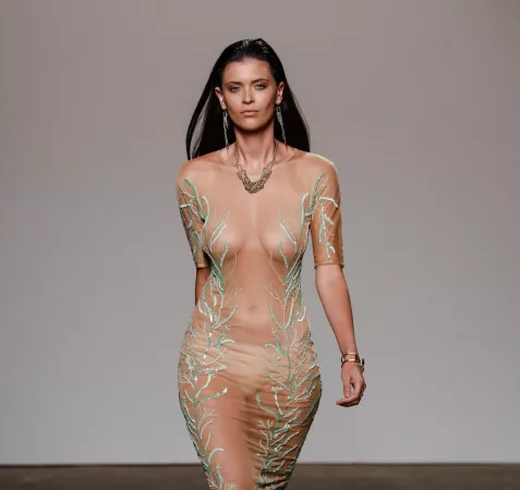 Sheer dress