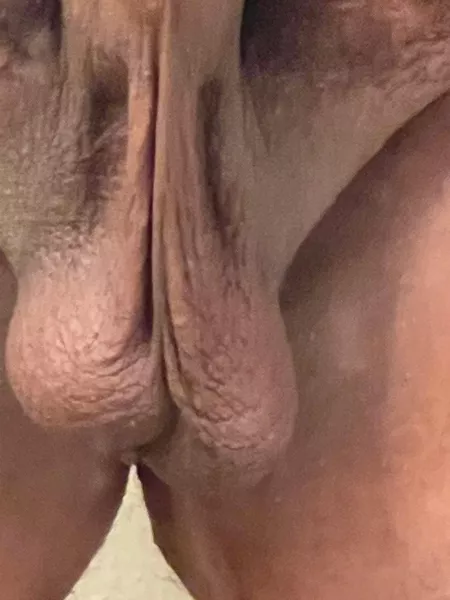 Sheesh Sheesh