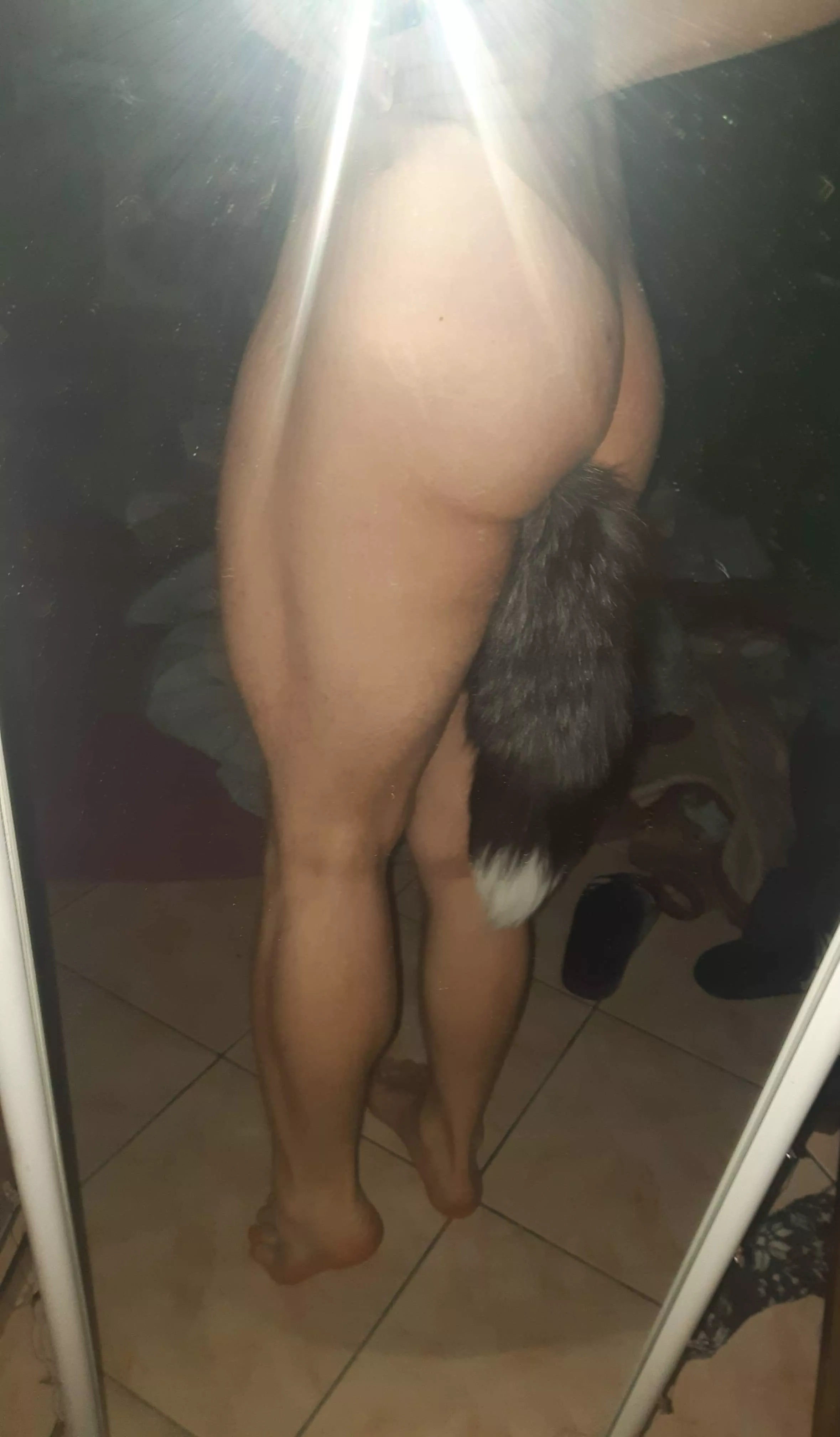 Shhhesssh 😤 Would you mind stop pulling on my tail? 🤬