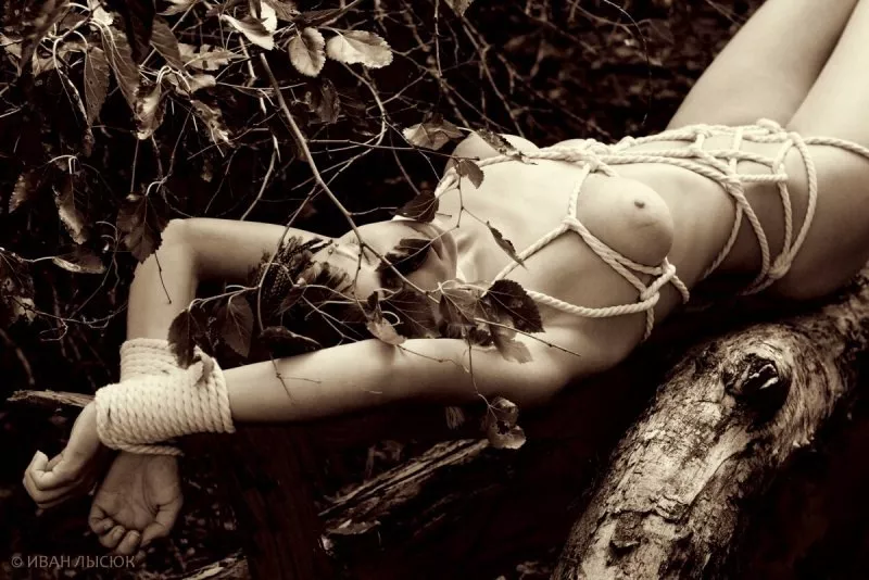 Shibari in nature