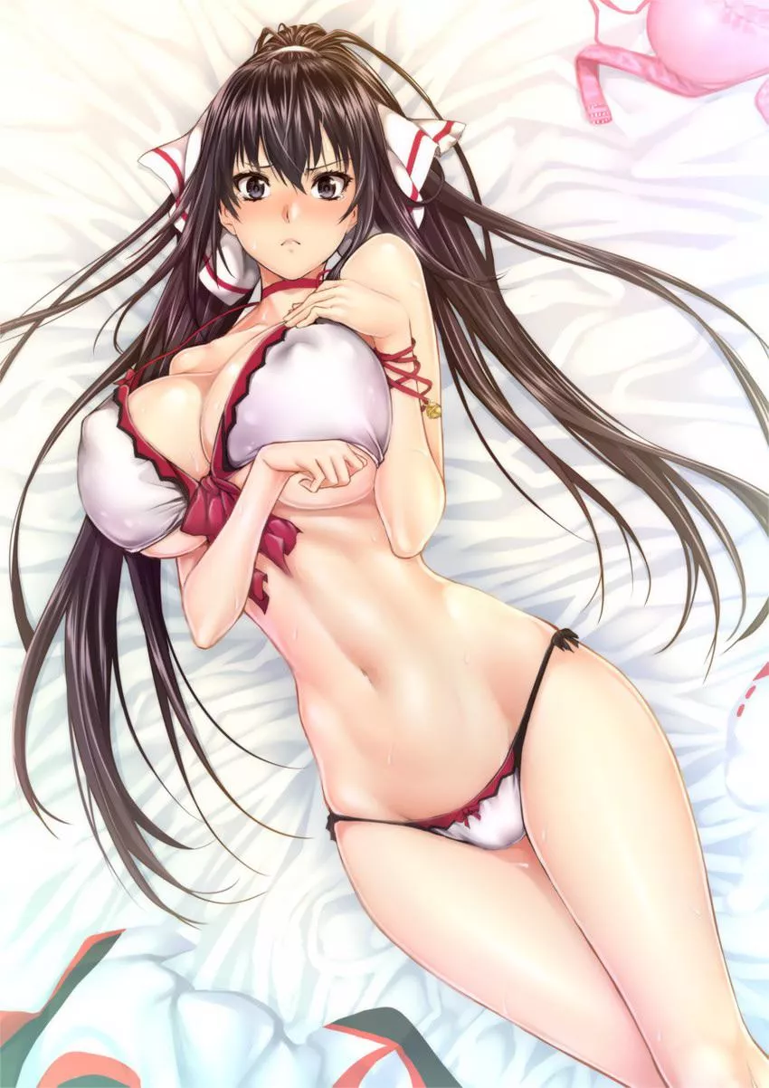 Shinonono houki (infinite stratos) Shinonono houki (infinite stratos)