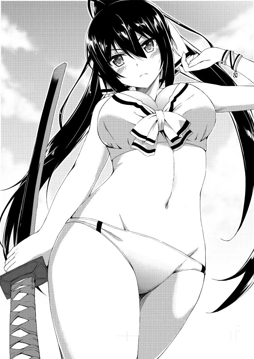 Shinonono houki (infinite stratos)