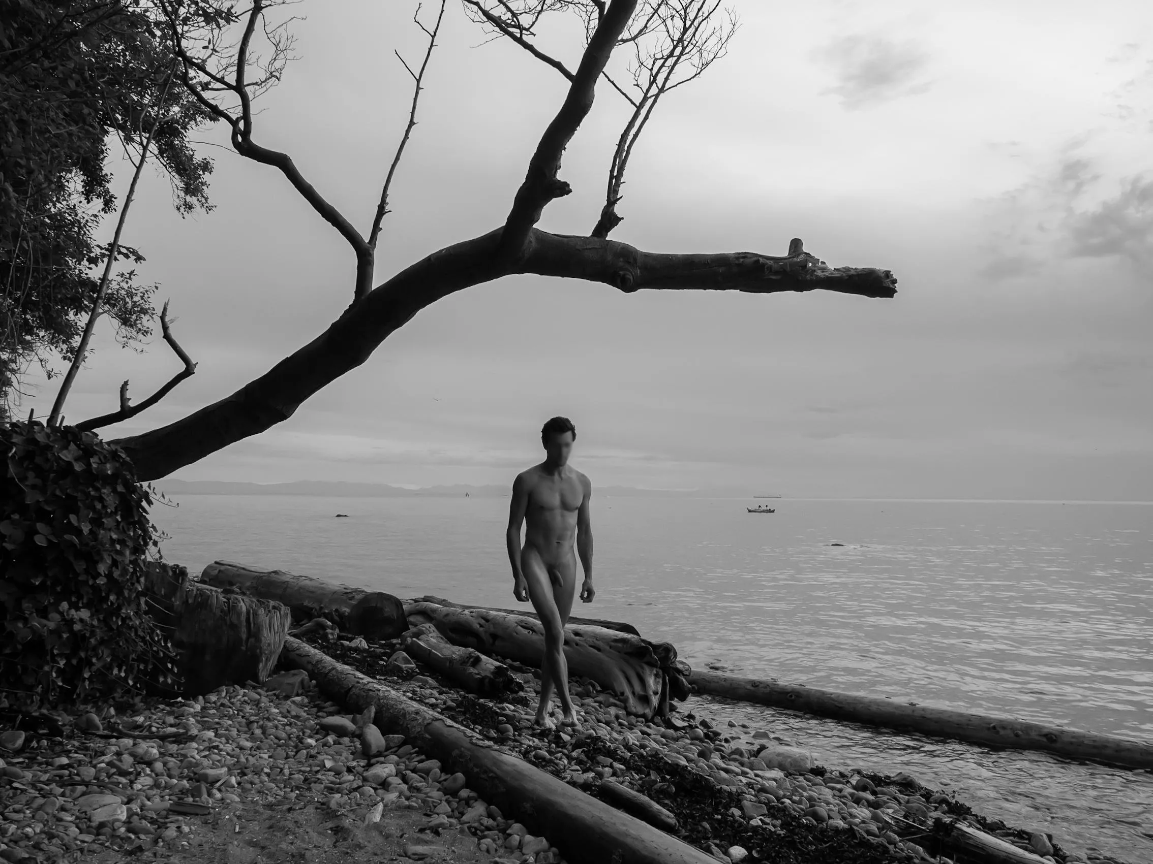 Shoreline Shoreline