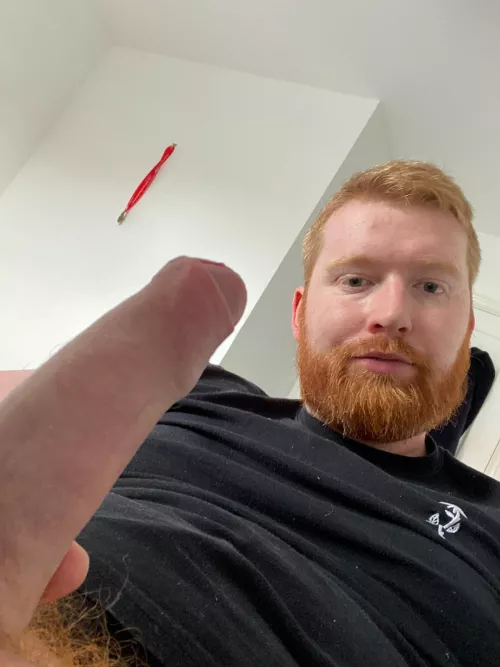 Should be working…