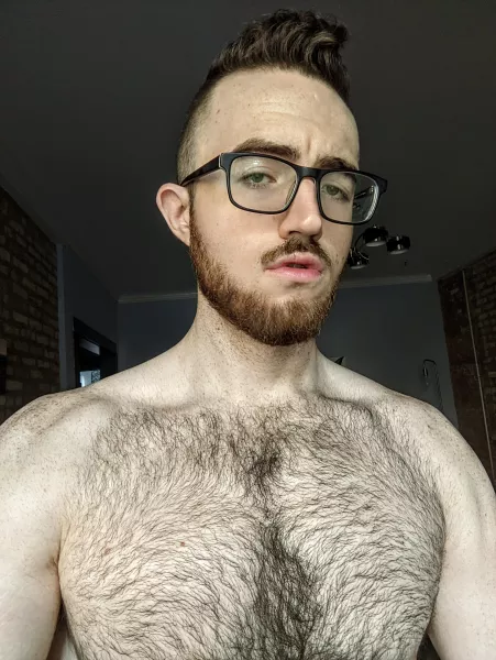 Should I lie around and play Pokémon all day y/n