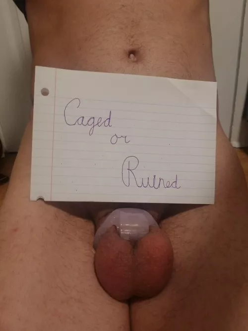 Should I stay caged after locktober or have a ruined orgasm at the end of the month? Should I stay caged after locktober or have a ruined orgasm at the end of the month?