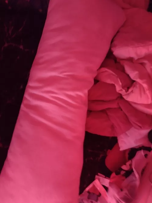 should little me hump this big pillow? ๐ฅบ