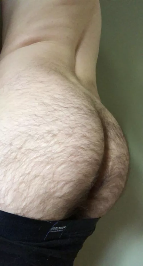 Show me what you would put in here