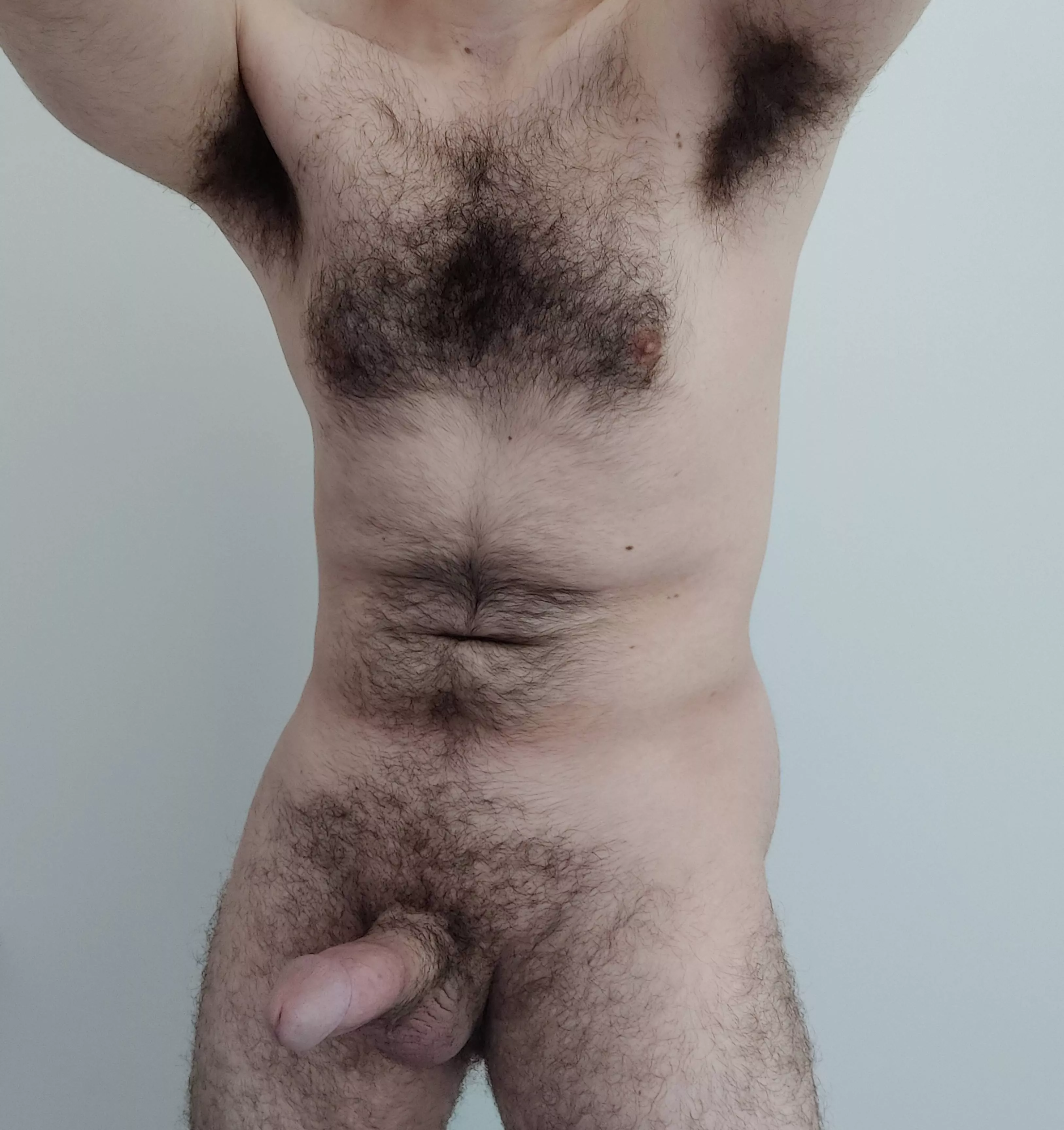 Showing off my hairy body and my cock Showing off my hairy body and my cock
