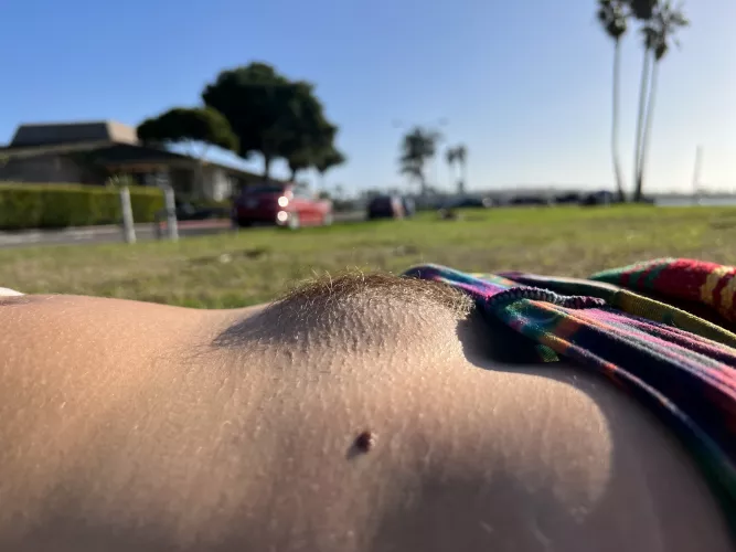 Showing off my hairy little mound at the park. Showing off my hairy little mound at the park.