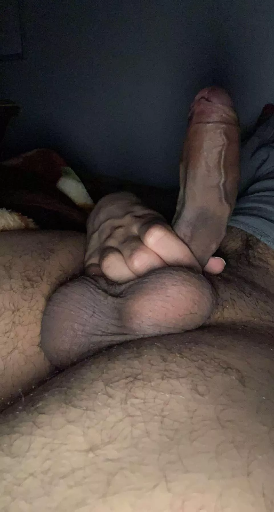 Penis And Balls Porn Photo