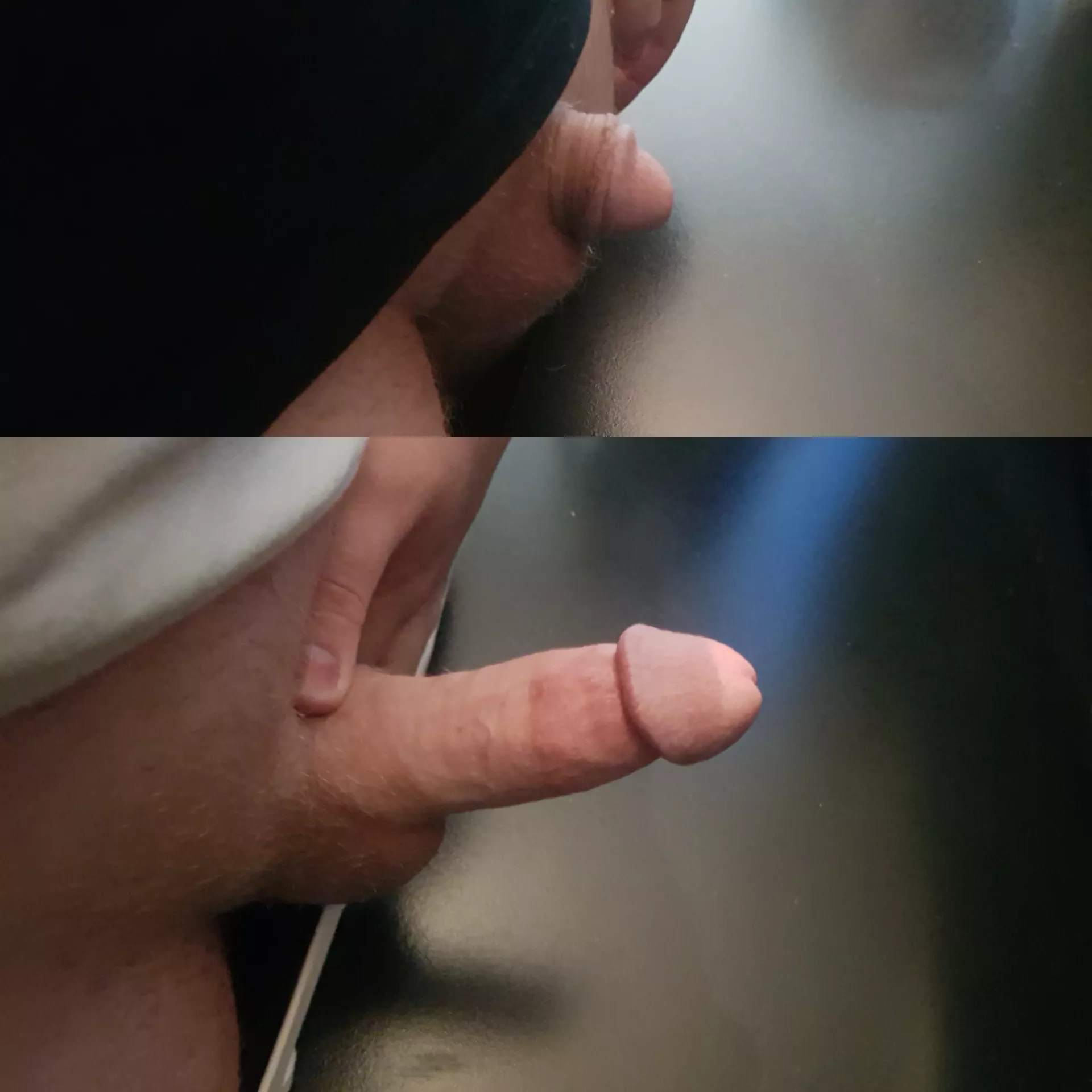 Shy vs Horny Shy vs Horny