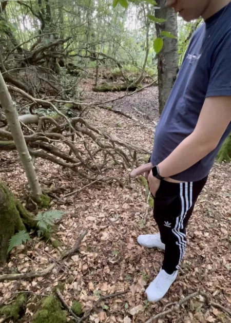 sightseeing in the woods ๐ sightseeing in the woods ๐