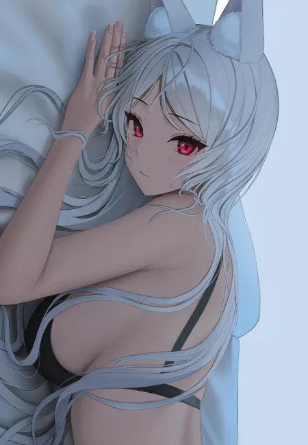 Silver Fox Silver Fox