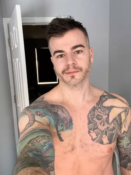 Silver fox in training Silver fox in training