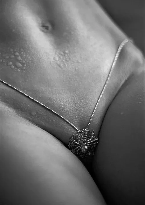 Silver Spider Silver Spider