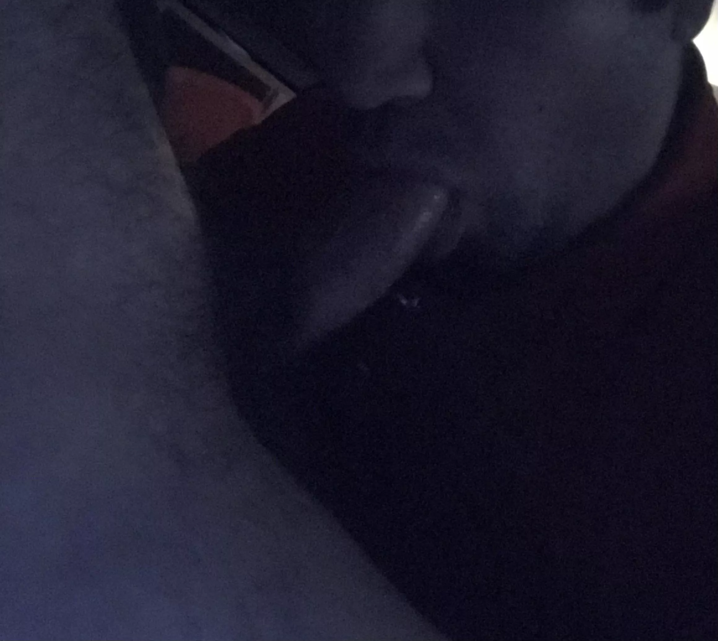 Since my last post seemed enjoyed, here is another. From November ‘17. On my lunch break, he picked me up and I gave him roadhead back to his house. Then I sucked him off for about 20 mins, he didn’t cum but had to get going so he dropped me off. Since my last post seemed enjoyed, here is another. From November ‘17. On my lunch break, he picked me up and I gave him roadhead back to his house. Then I sucked him off for about 20 mins, he didn’t cum but had to get going so he dropped me off.