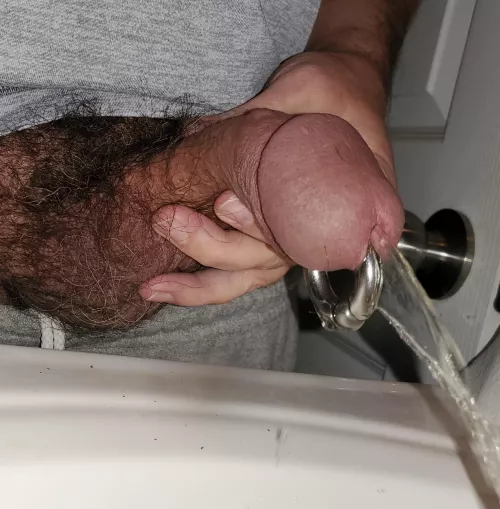 Sink piss