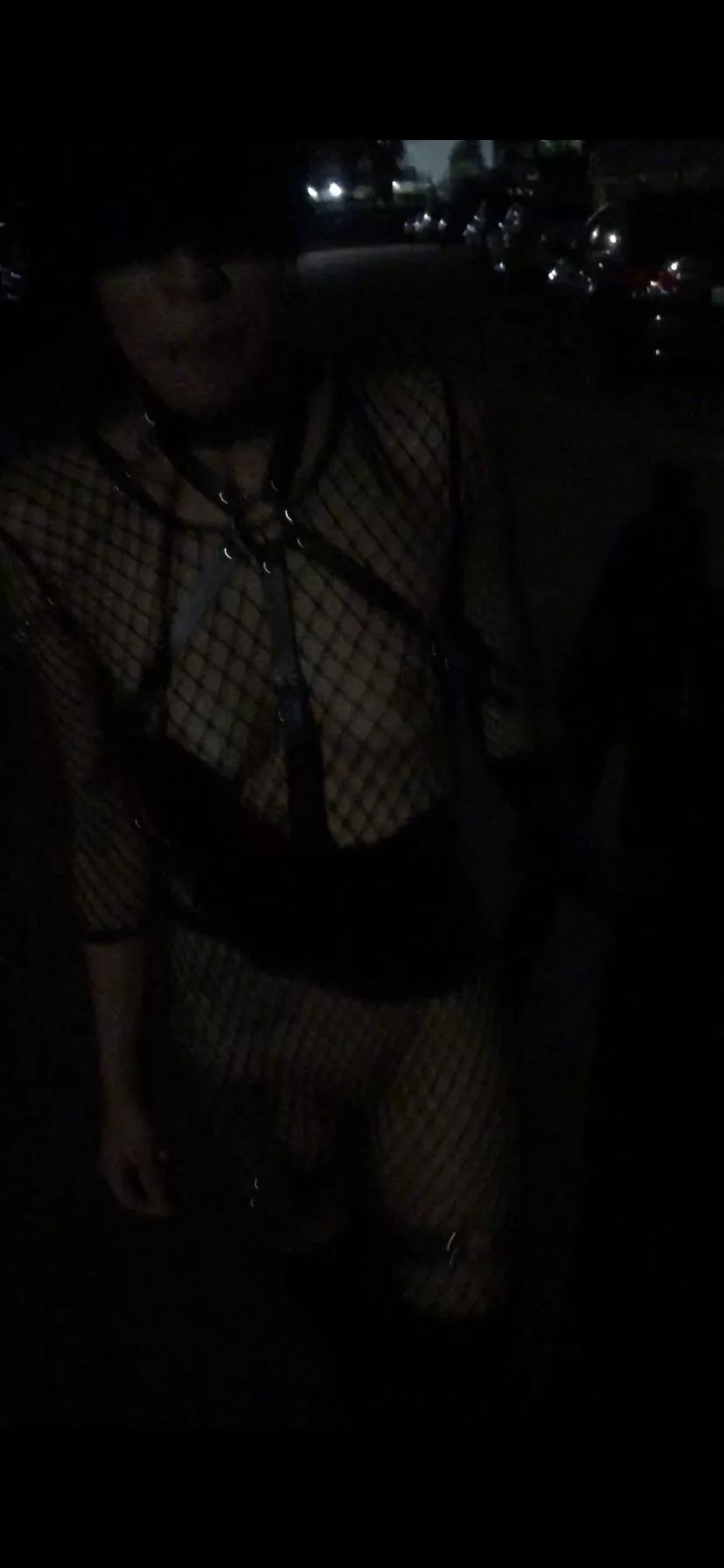 Sir took me on a walk around the neighborhood 😈