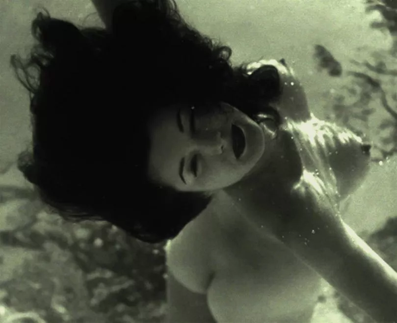 Siren Siren