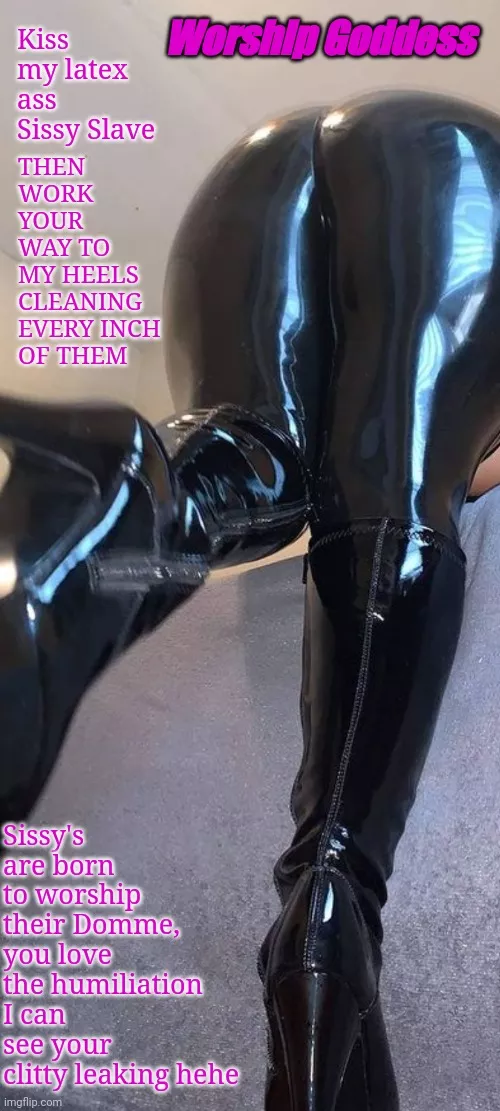 Sissy's are meant to Worship Sissy's are meant to Worship