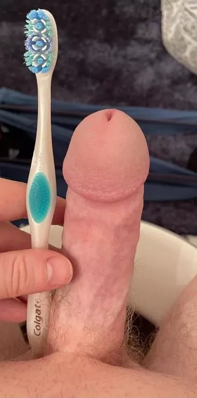 Sized up by a toothbrush. Who can top it? Sized up by a toothbrush. Who can top it?