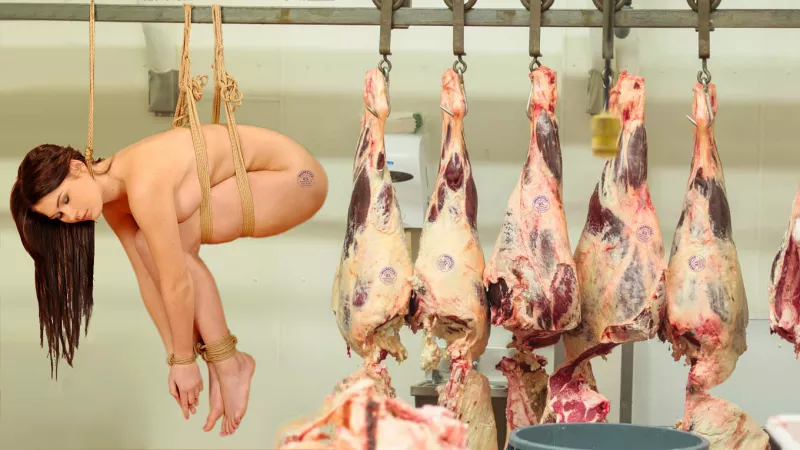 Slaughterhouse fantasy