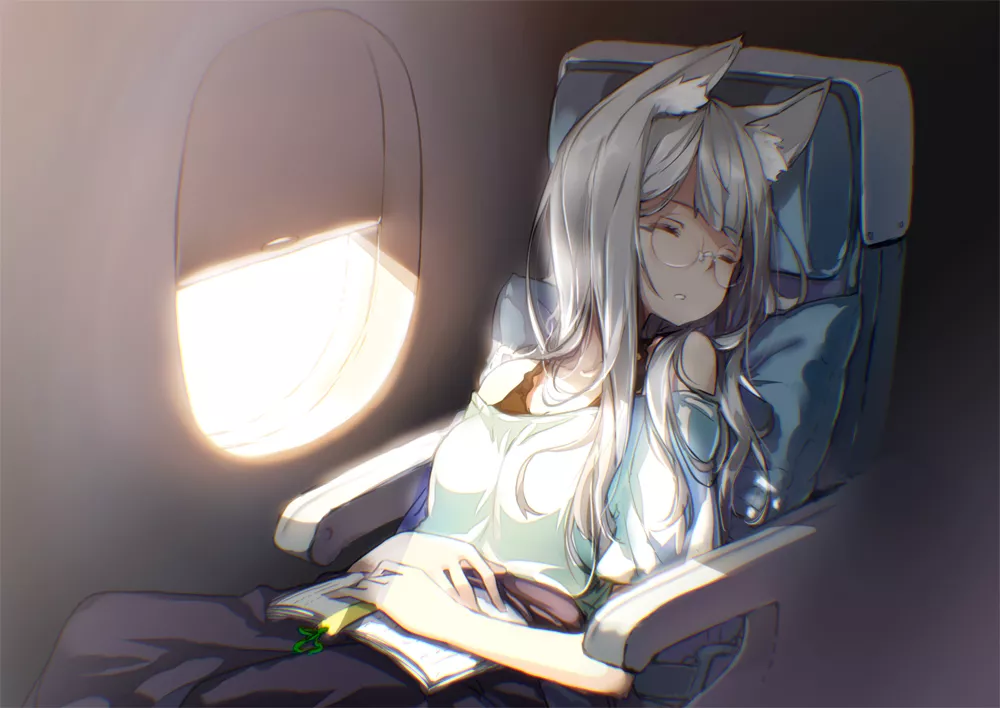 Sleepy flight. Sleepy flight.