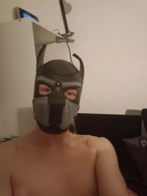 sleepy puppy, ready for bed🐾