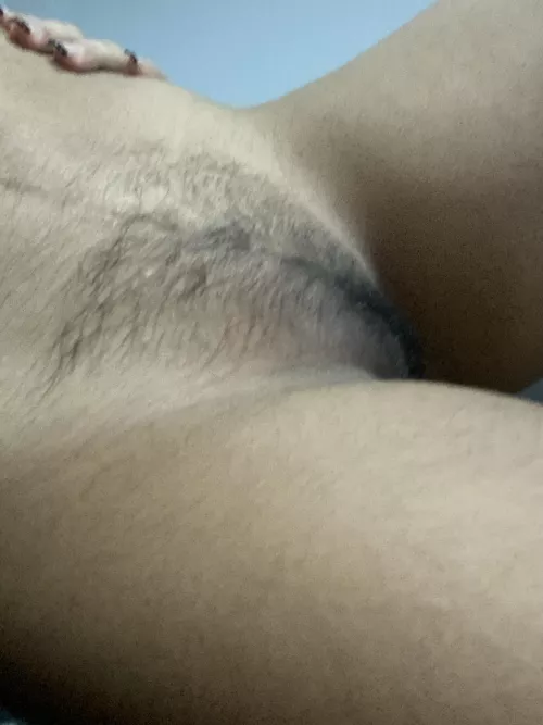 Small little hairy pussy Small little hairy pussy