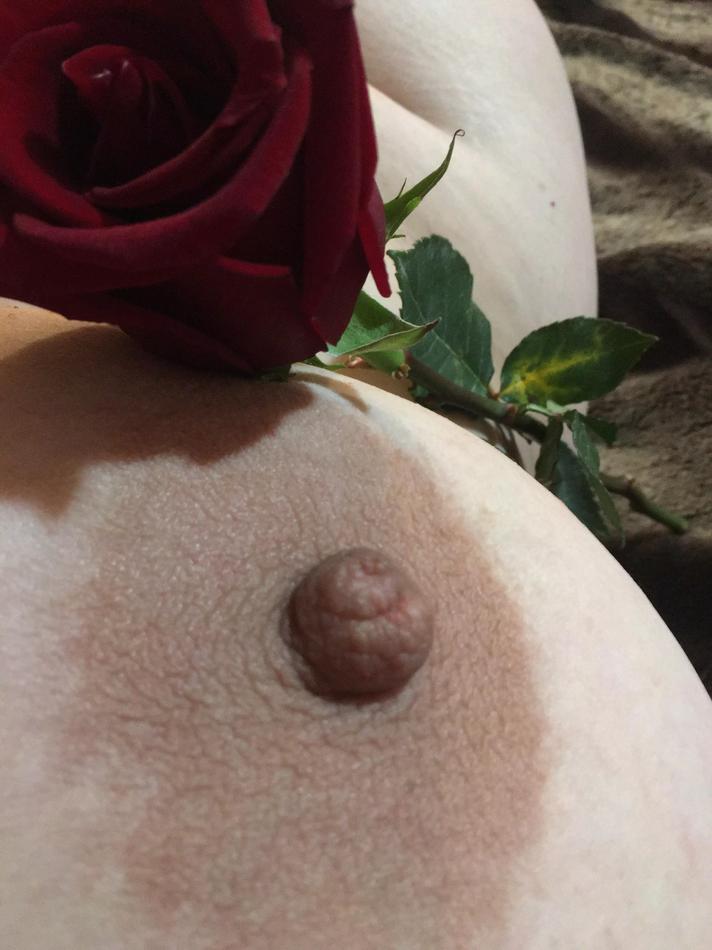 Smell the rose. And while you’re that close please suck my nipple! Smell the rose. And while you’re that close please suck my nipple!
